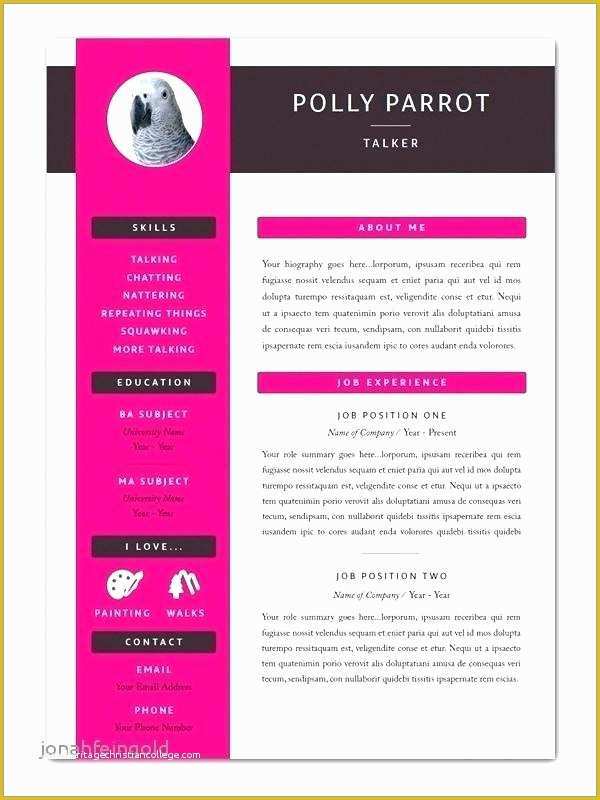 Resume Indesign Template Free Download Of Resume Indesign Template Infographic Indesign Resume