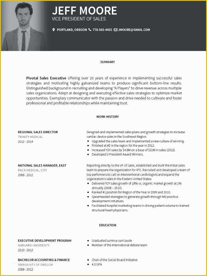 Resume Portfolio Template Free Of Career Portfolio Template Word