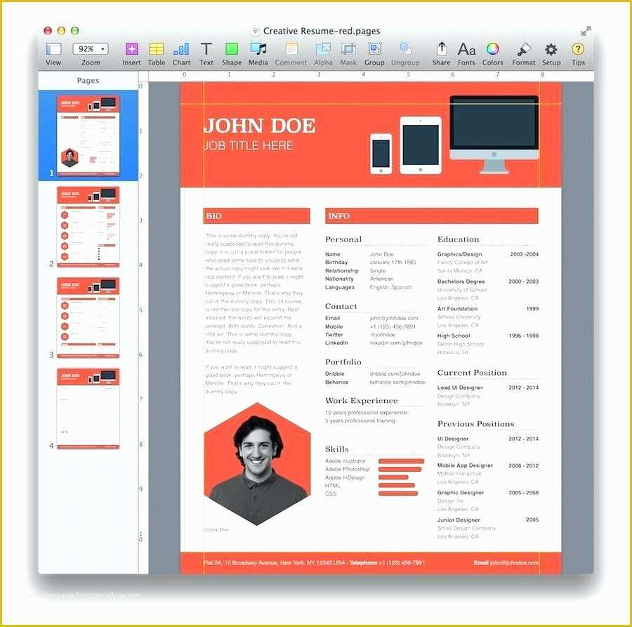 Resume Portfolio Template Free Of Great Portfolio Template Word S Check Printing
