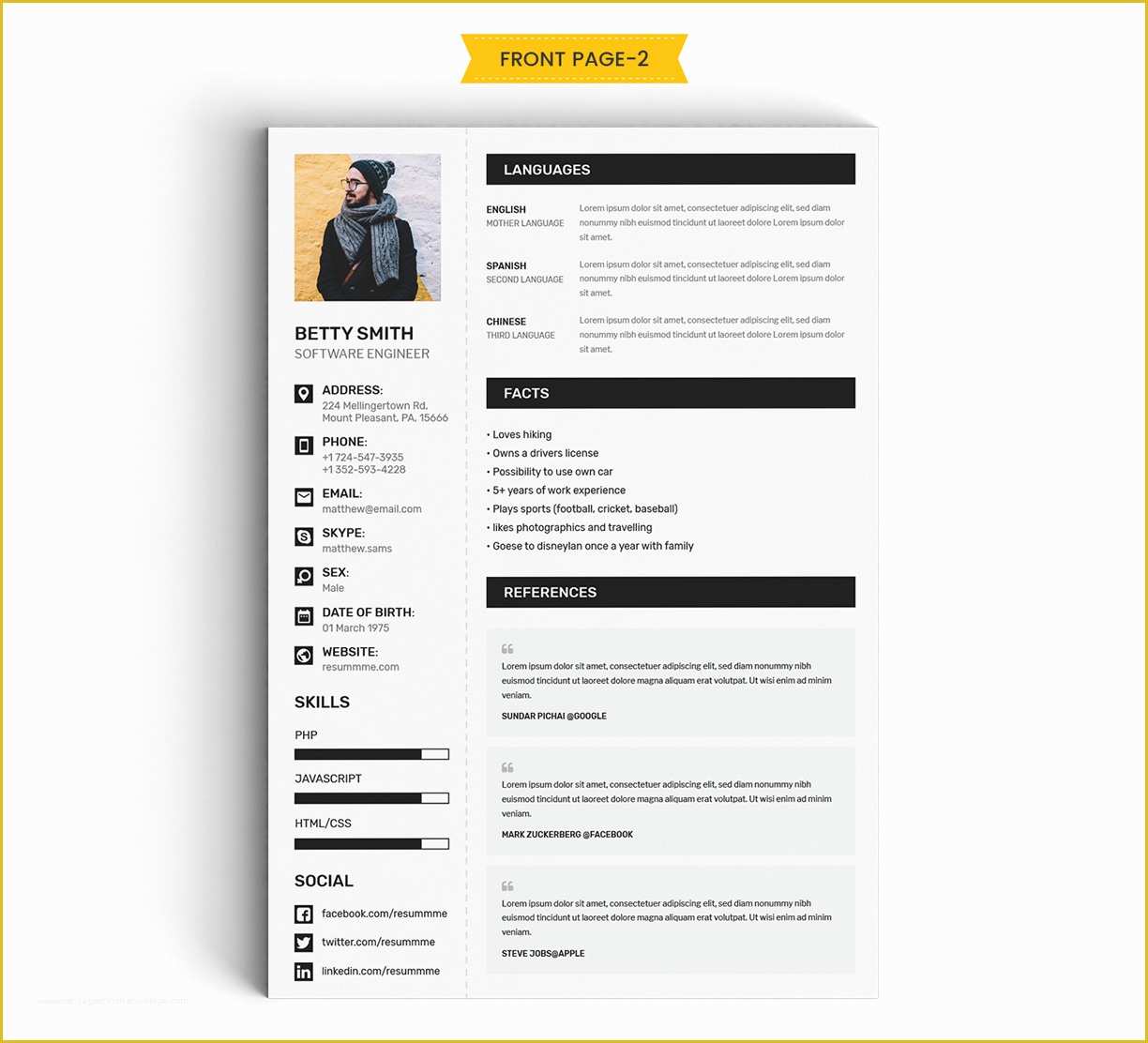 Resume Portfolio Template Free Of Sample Technical Resumes Resume Perfect Insurance Pany