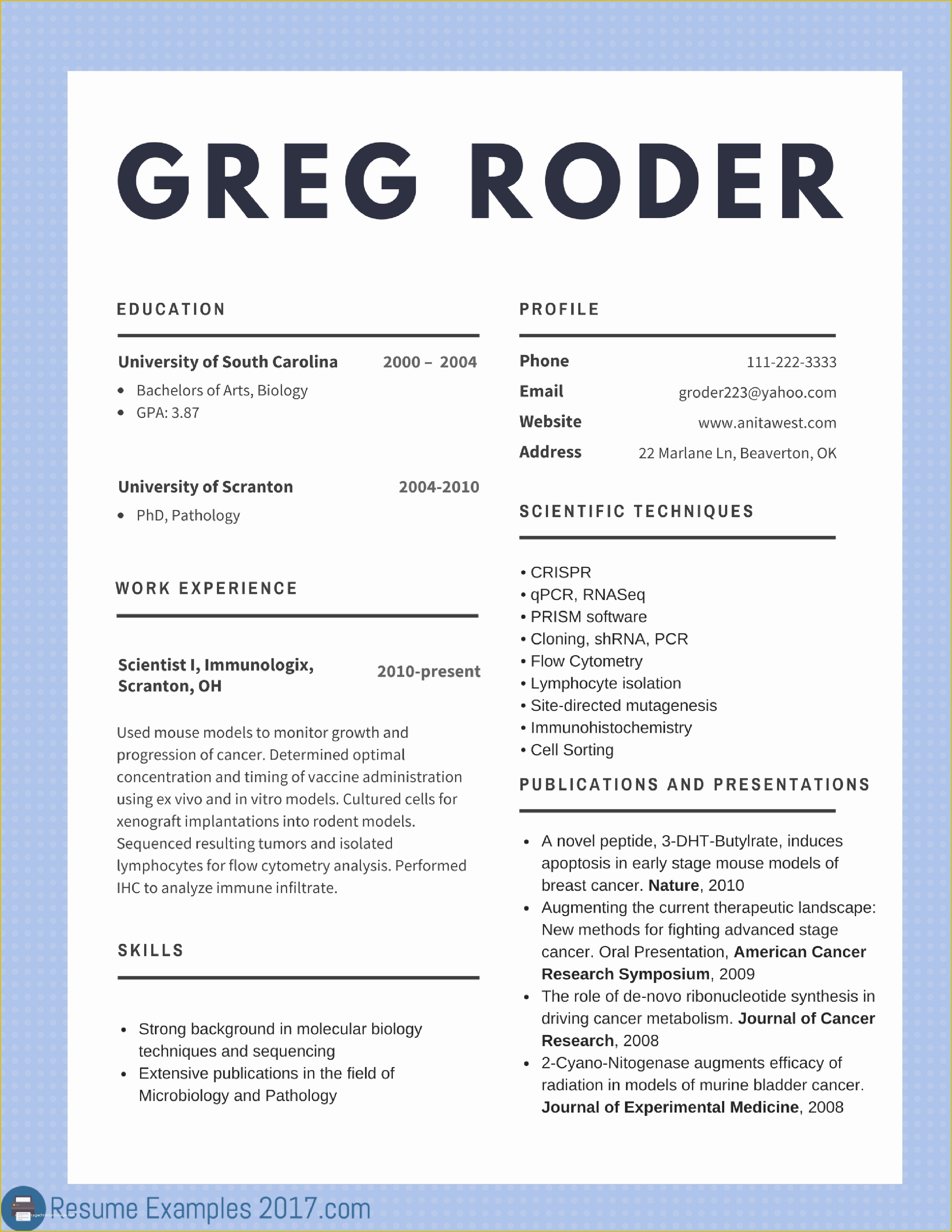 Resume Template 2017 Free Of Best Cv Examples 2018 to Try