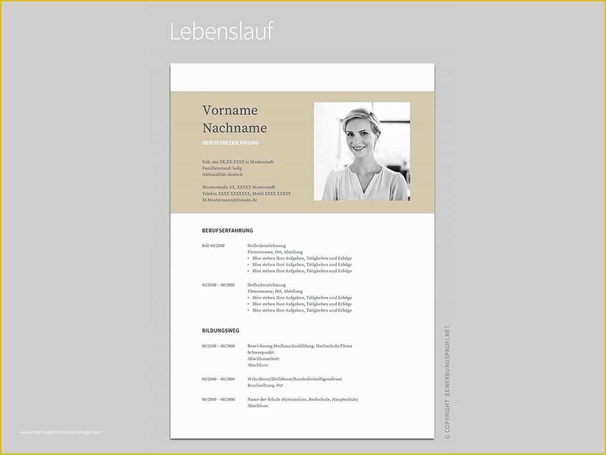 53 Resume Template for Google Docs Free
