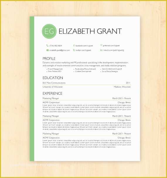 Resume Template Word Doc Free Of Professional Cv Template Word Document
