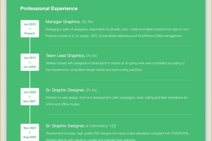 Resume Website Template Free Of Free E Page Web Resume Template