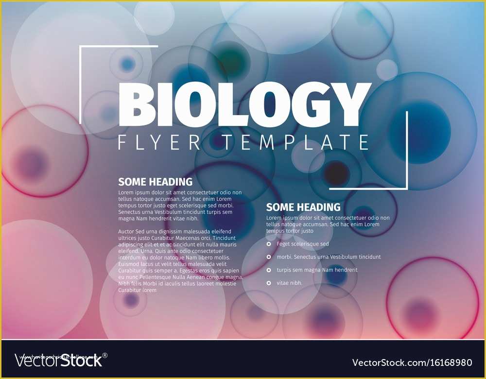 Royalty Free Flyer Templates Of Abstract Biology Flyer Template Royalty Free Vector Image