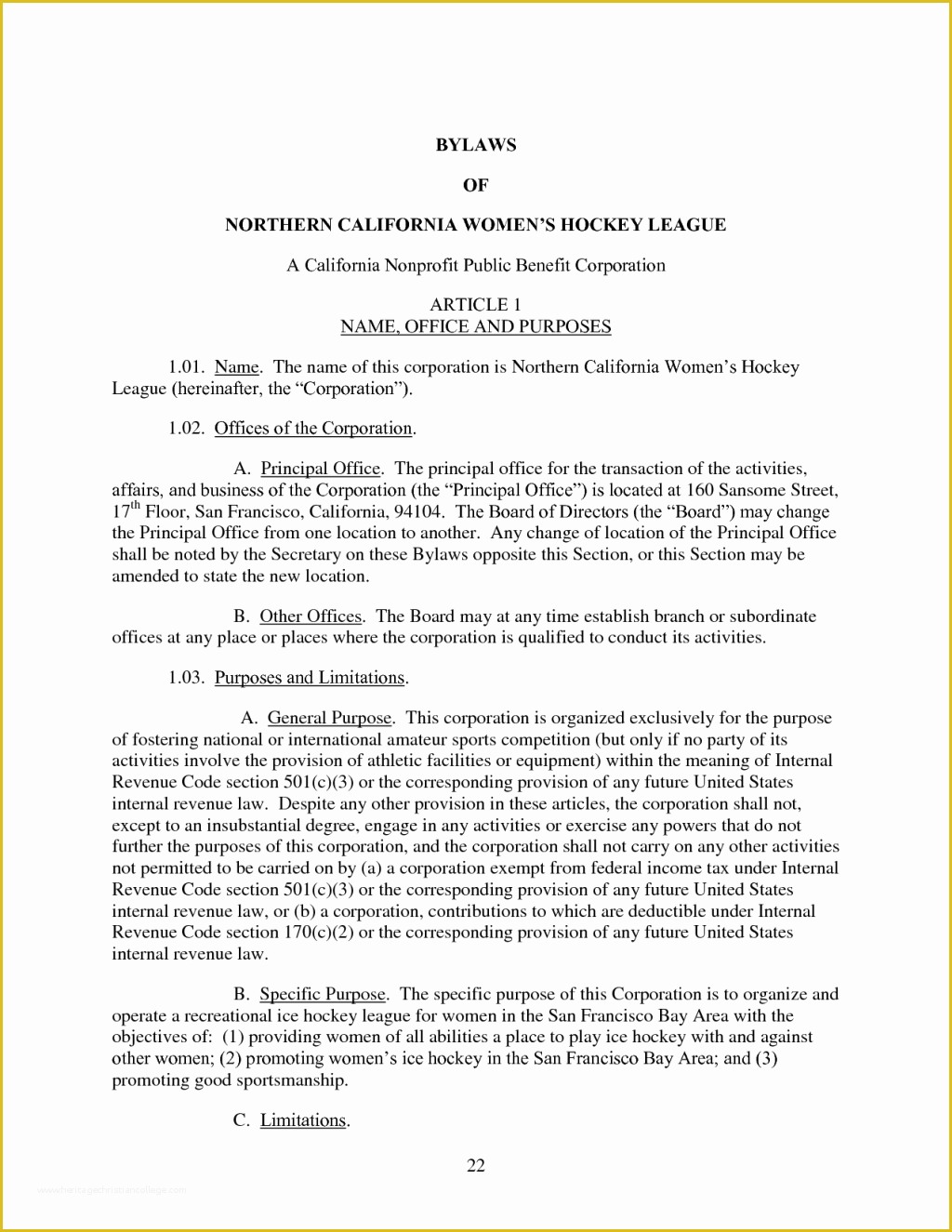 S Corporation bylaws Template Free Of 25 Of S Corporation bylaws Template