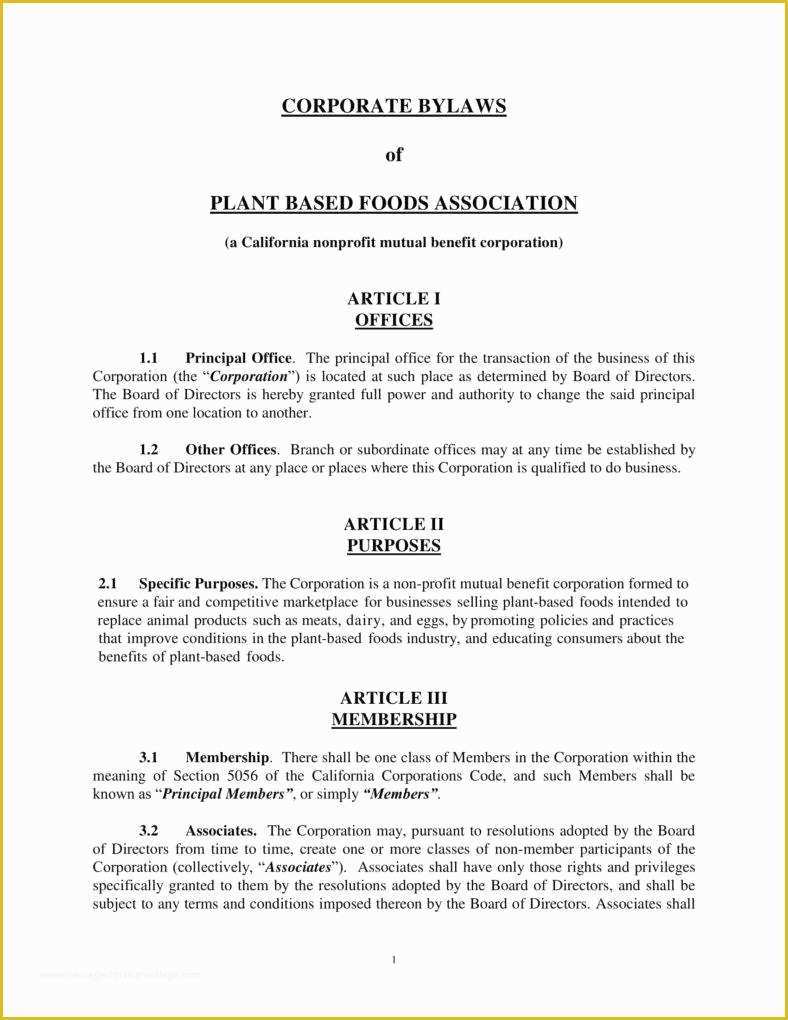 S Corporation bylaws Template Free Of 9 Corporate bylaws Templates Pdf