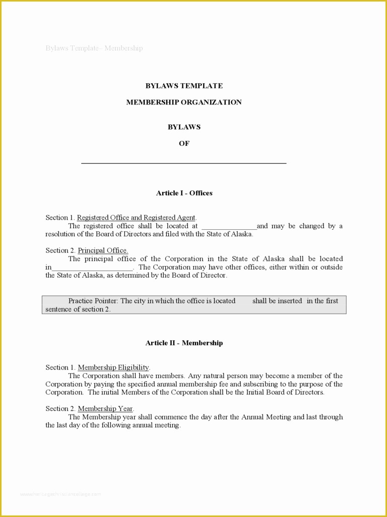 S Corporation bylaws Template Free Of bylaws Template 4 Free Templates In Pdf Word Excel