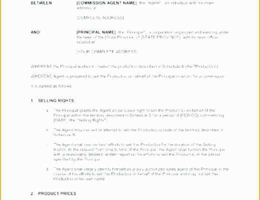 Sales Agency Agreement Template Free Of Sales Agent Contract Template Sales Representative