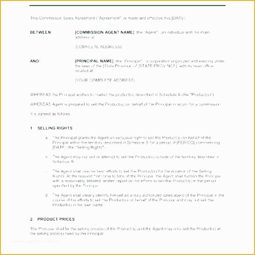 42 Sales Agency Agreement Template Free