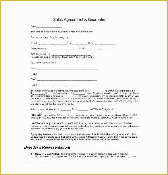 Sales Contract Template Free Download Of Sample Purchase Agreement Sale Business Contract