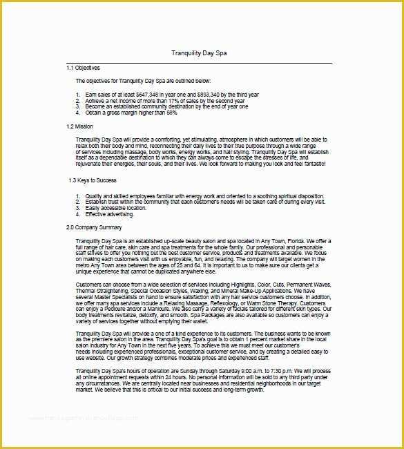 Salon Business Plan Template Free Of 12 Spa & Salon Business Plan Templates Google Docs Ms