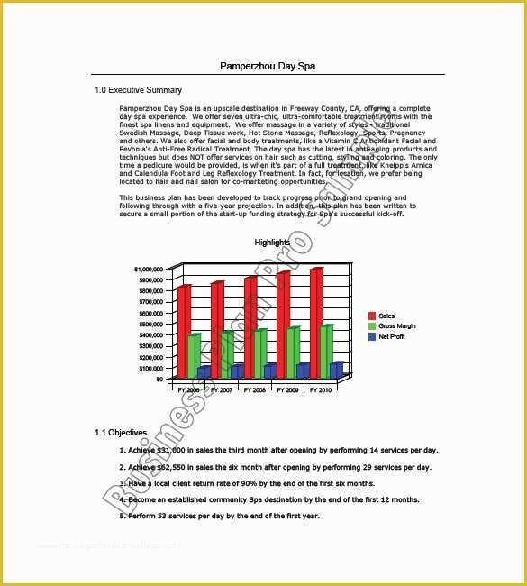 Salon Business Plan Template Free Of 12 Spa & Salon Business Plan Templates Google Docs Ms