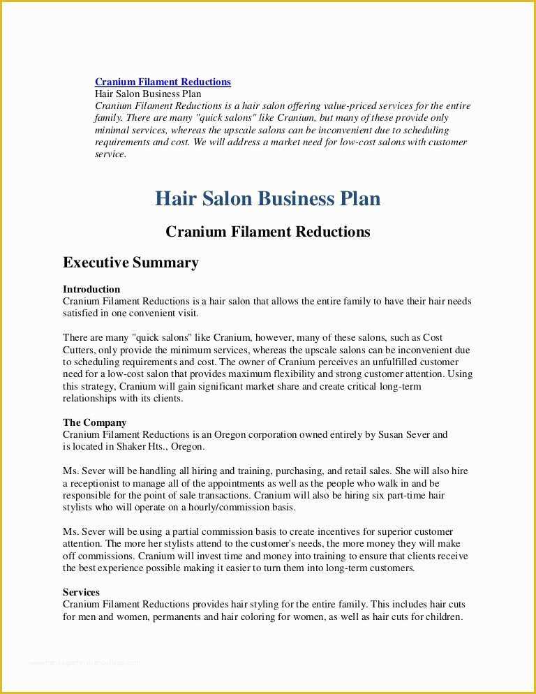 Salon Business Plan Template Free Of Hair Salon Business Plan Sample