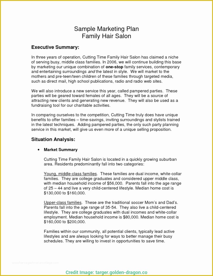 Salon Business Plan Template Free Of Nail Salon Business Plan Sample