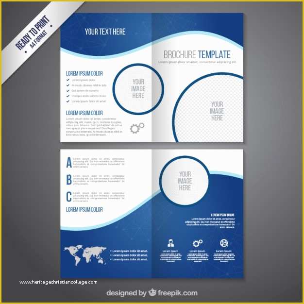 School Brochure Template Free Download Of Brochure Template In Blue tones Vector