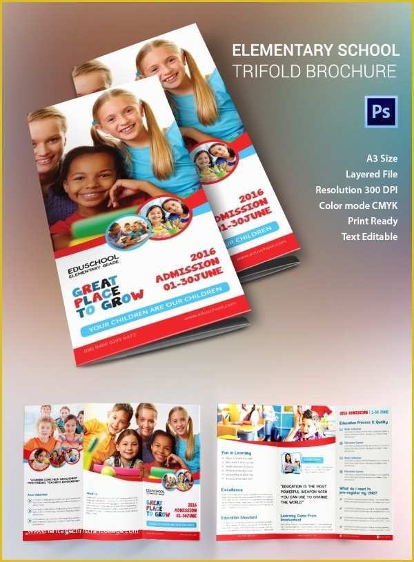 School Brochure Template Free Download Of Education Brochure Template 43 Free Psd Eps Indesign