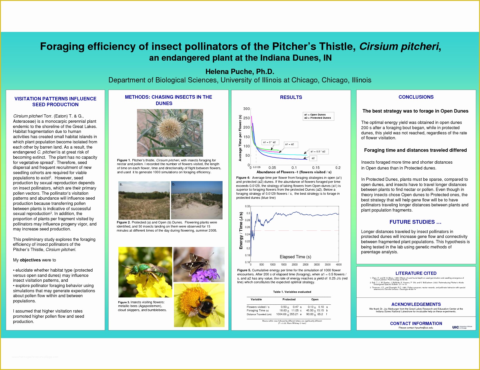 Scientific Poster Template Free Of Poster Presentation Driverlayer Search Engine