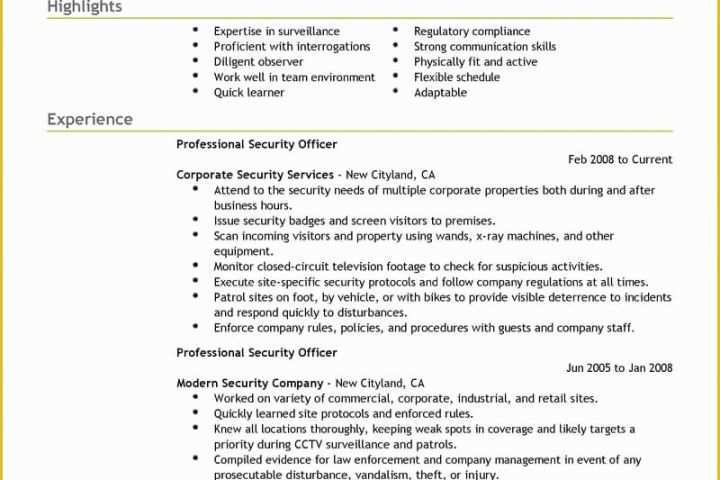 Security Resume Template Free Of Best Professional Security Ficer Resume Example