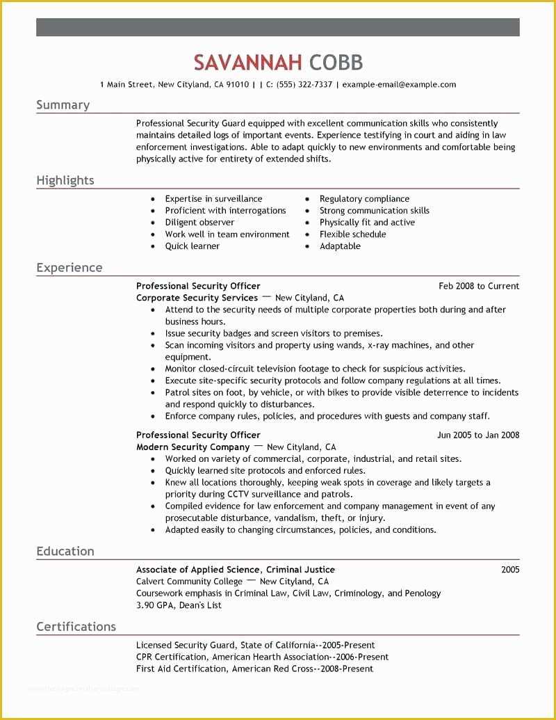 Security Resume Template Free Of It Security Resume Safety and Resumes Examples