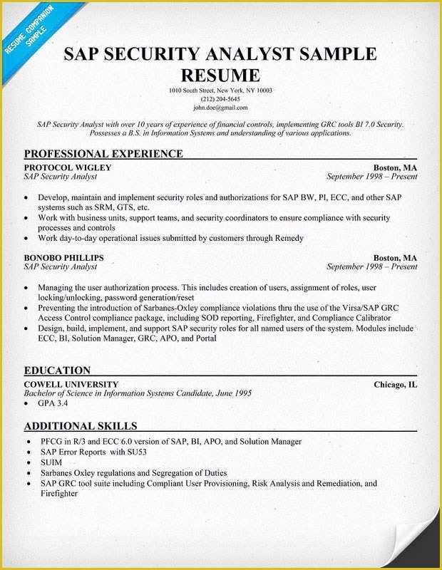 Security Resume Template Free Of Security Resume Templates