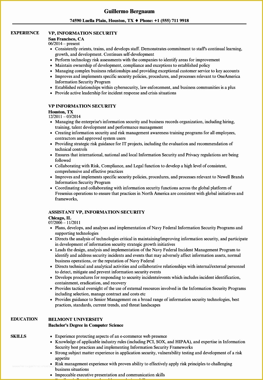Security Resume Template Free Of Vp Information Security Resume Samples