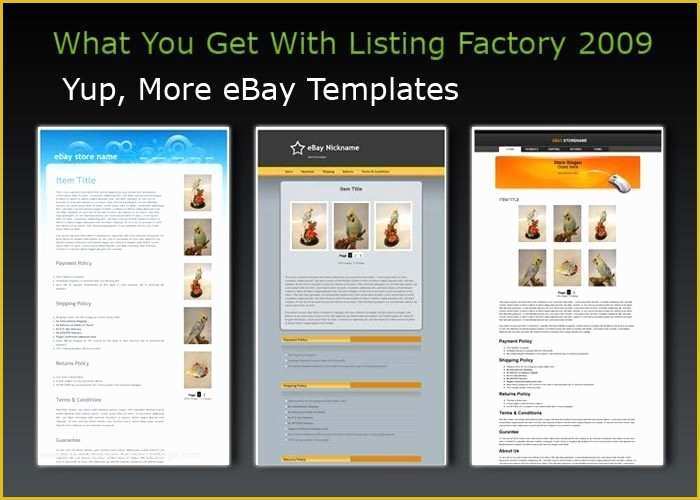 Simple Ebay Templates Free Of Ebay Seller Feedback Template Templates Resume