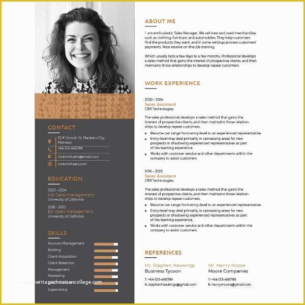 Single Page Resume Template Free Of E Page Resume Template 12 Free Word Excel Pdf