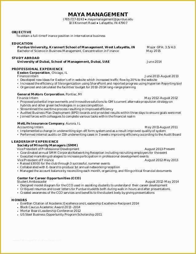 Skill Based Resume Template Free Download Of Skill Based Resume Template Free Download Unique 23 Skill