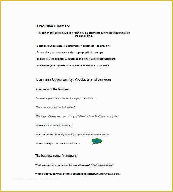 Small Business Plan Template Free Of 22 Small Business Plan Template Google Docs Ms Word