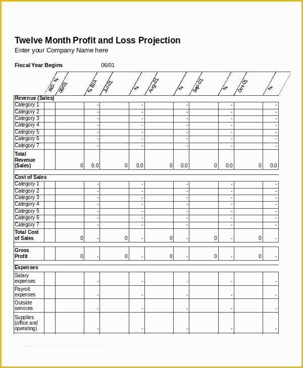 Small Business Profit and Loss Template Free Of 12 Profit and Loss Templates In Excel