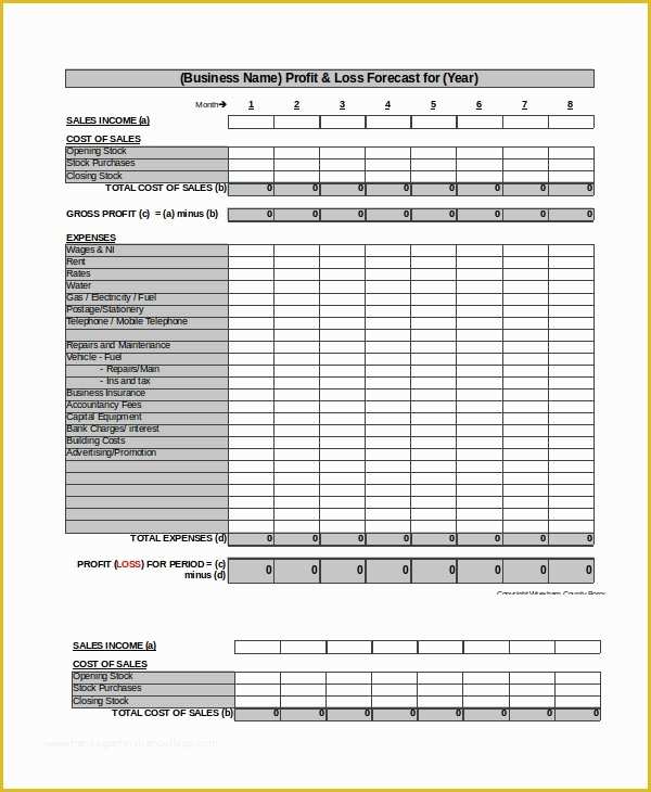Small Business Profit and Loss Template Free Of 12 Profit and Loss Templates In Excel