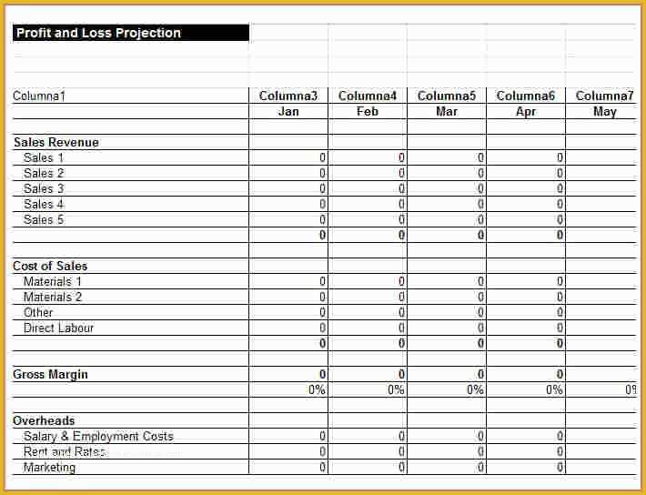 Small Business Profit and Loss Template Free Of 7 Business Profit and Loss Spreadsheet