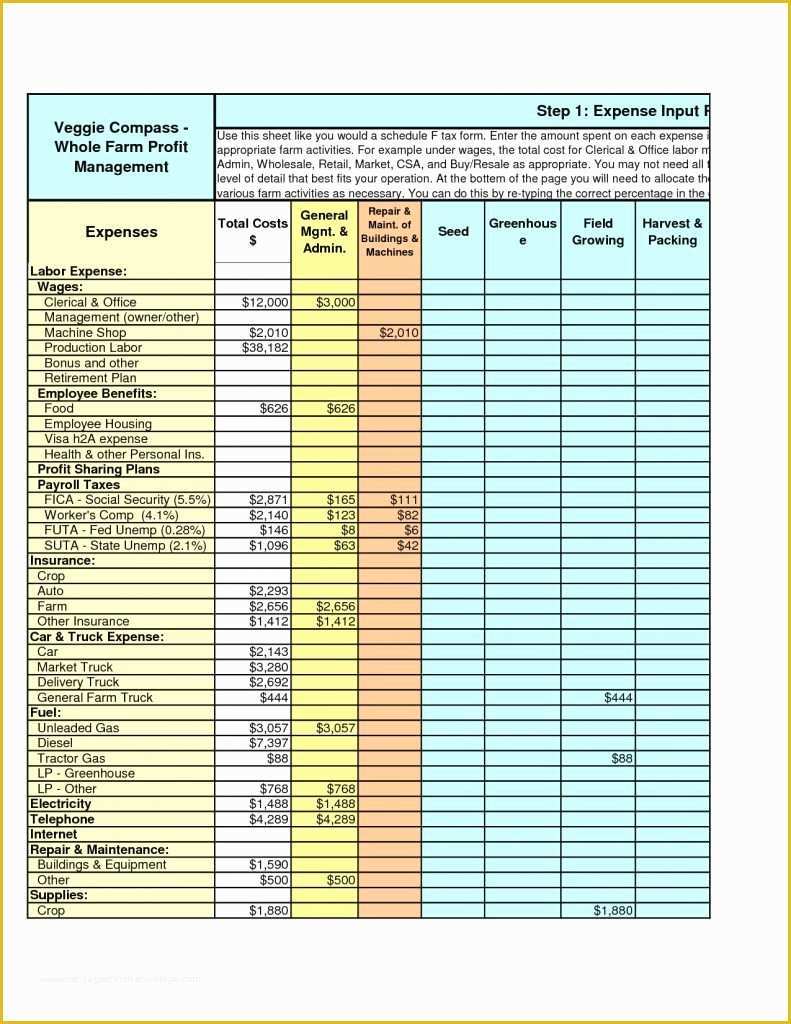 Small Business Profit and Loss Template Free Of Example Profit and Loss Statement for Small Business