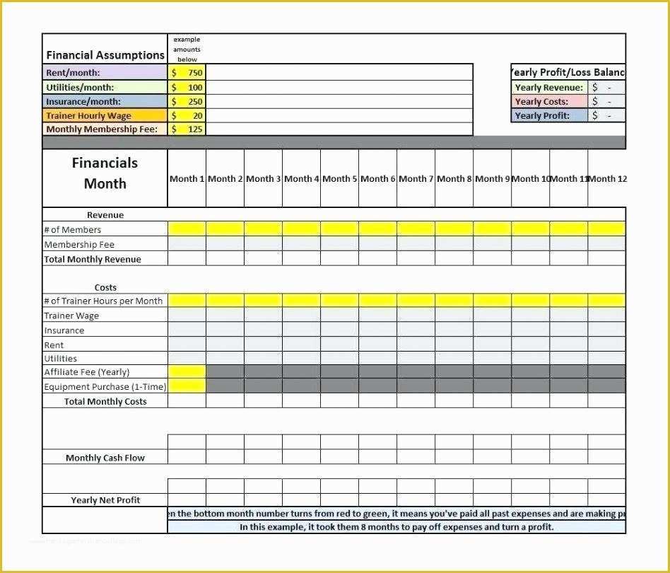 Small Business Profit and Loss Template Free Of Small Business Profit and Loss Statement Template