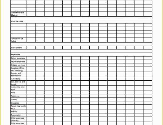 Small Business Profit and Loss Template Free Of Small Business Profit and Loss Templateand Project Profit