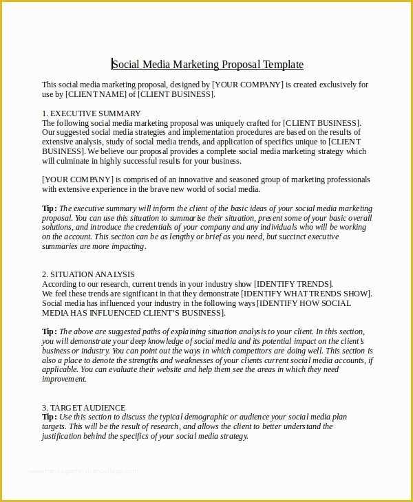 Social Media Marketing Proposal Template Free Of 9 social Media Marketing Proposal Examples & Samples