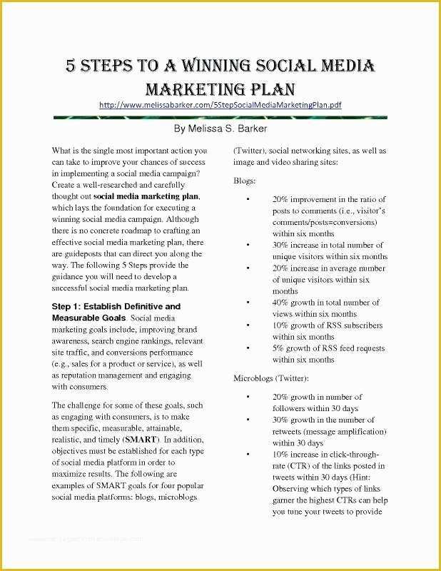 Social Media Marketing Proposal Template Free Of social Media Management Proposal Template – Shanon