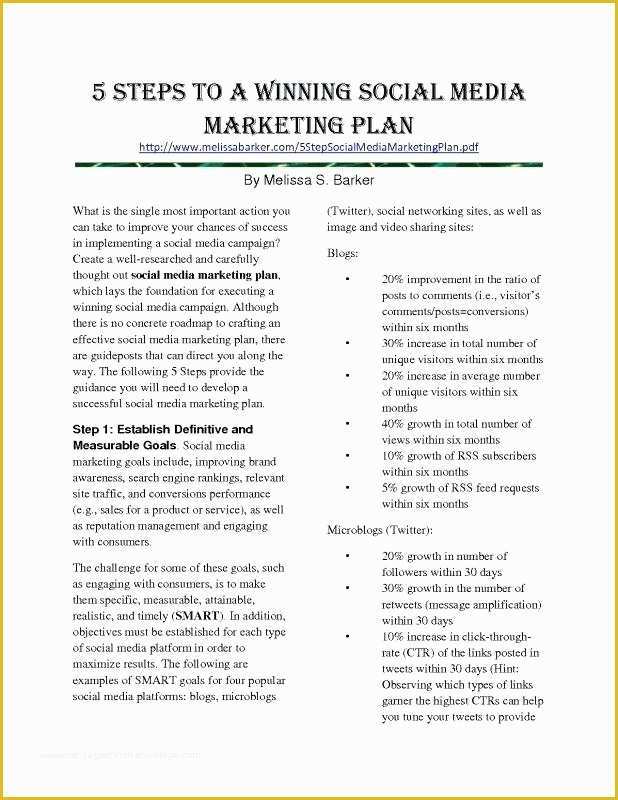 Social Media Marketing Proposal Template Free Of social Media