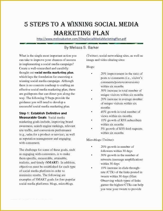 Social Media Marketing Proposal Template Free Of Social Media