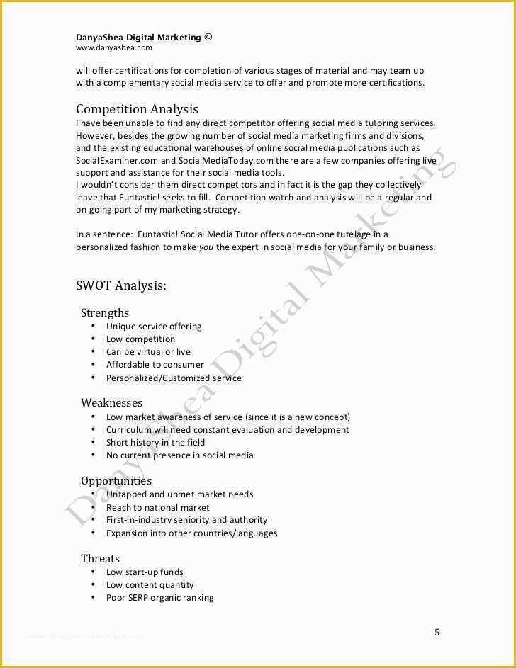 Social Media Marketing Proposal Template Free Of social Media Marketing Plan Sample