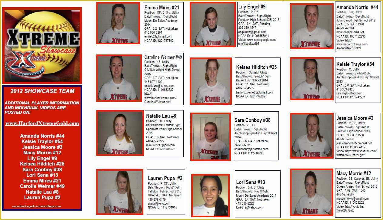Softball Profile Template Free Of Downloadable softball Profile Sheet Templates