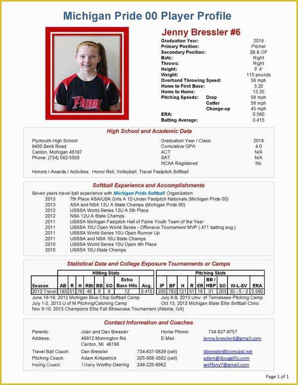 Softball Profile Template Free Of softball Profile Sheet to Pin On Pinterest