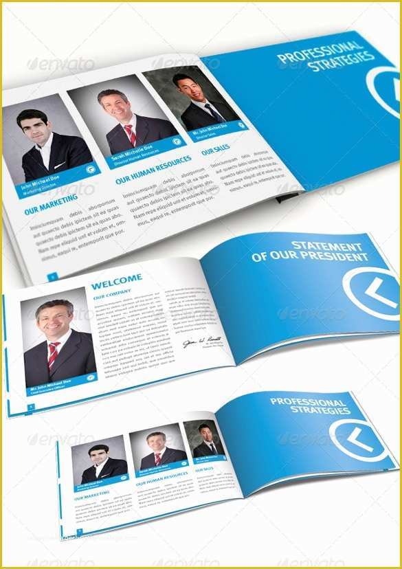 Software Company Brochure Templates Free Download Of 18 Best Pany Brochure Templates