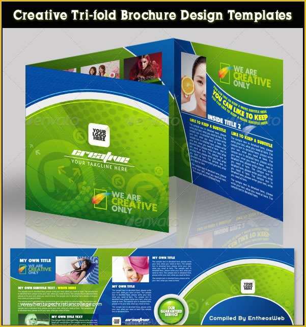 Software Company Brochure Templates Free Download Of Free Coreldraw Brochure Template Downloads