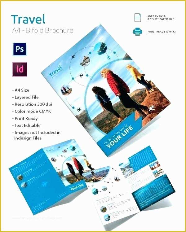 51 software Company Brochure Templates Free Download
