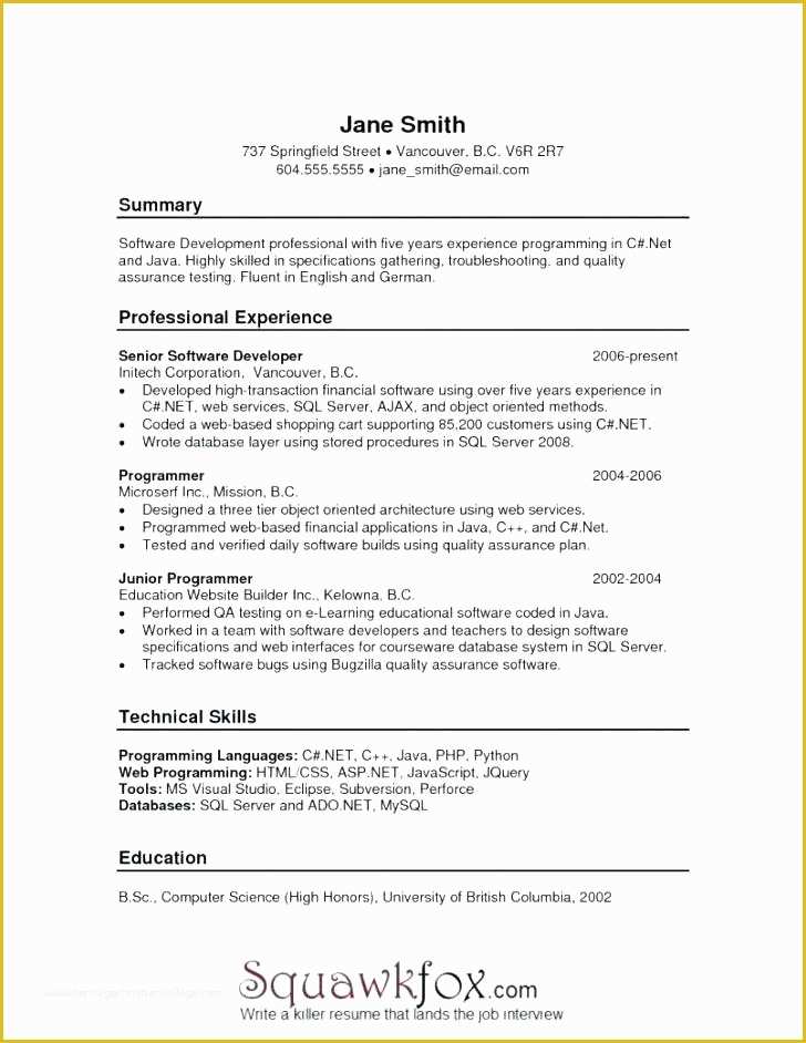 Software Development Contract Template Free Of software Development Contract Template Awesome Website
