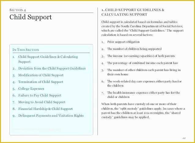 Software Support Contract Template Free Of A It Support Agreement Template Service Contract