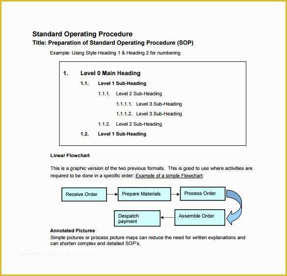 Sop Template Free Of Sample sop Template 20 Free Documents In Word Pdf Excel