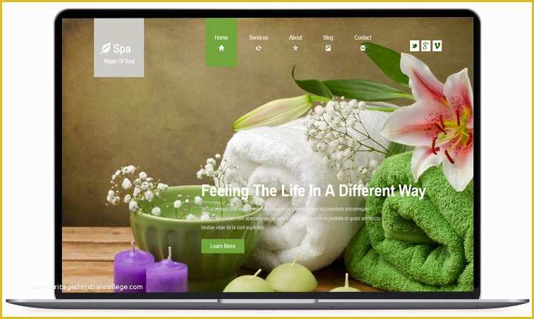 Spa Website Templates Free Download Of 50 Free Responsive Website Templates Built with Bootstrap